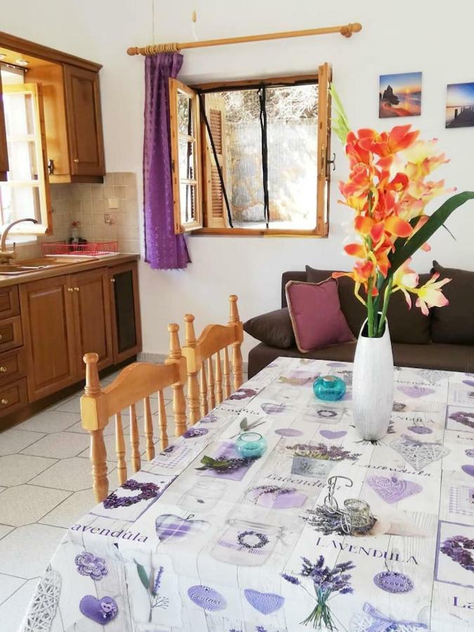 Appartement Theasea House With Garden à Riglia Extérieur photo