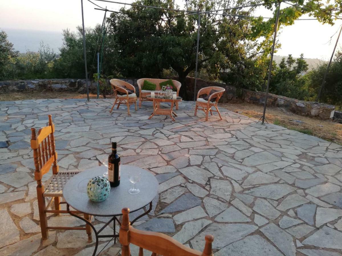Appartement Theasea House With Garden à Riglia Extérieur photo