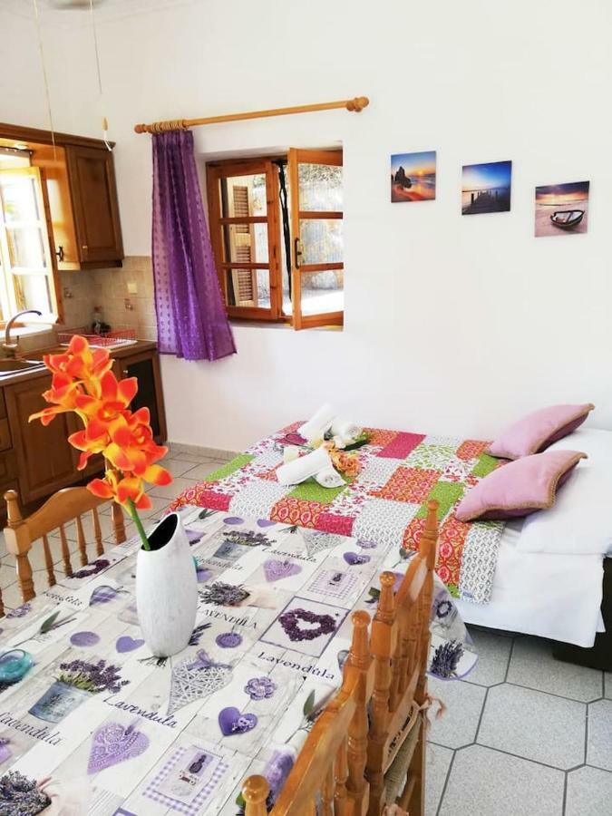 Appartement Theasea House With Garden à Riglia Extérieur photo