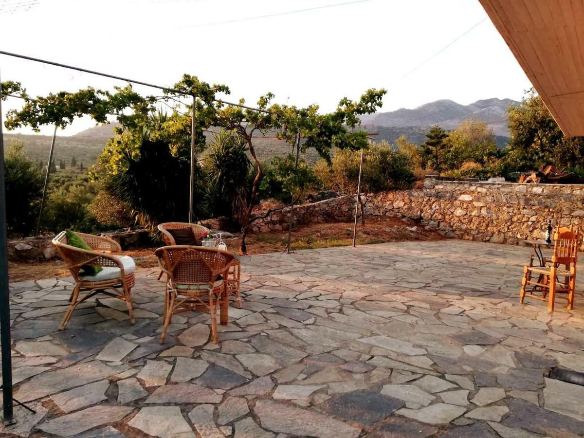 Appartement Theasea House With Garden à Riglia Extérieur photo